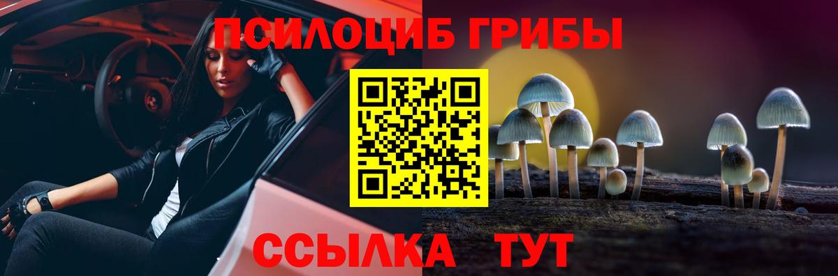 Фурманов  Псилоцибиновые грибы Psilocybine cubensis  Галлюциногенные грибы Psilocybe  Вход с VPN 