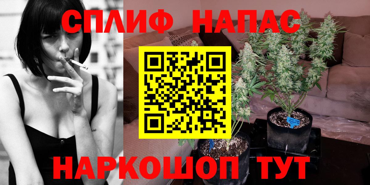 Бошки Шишки White Widow  Шишки марихуана AK-47  Вход с VPN  МАРИХУАНА семена  Фурманов 